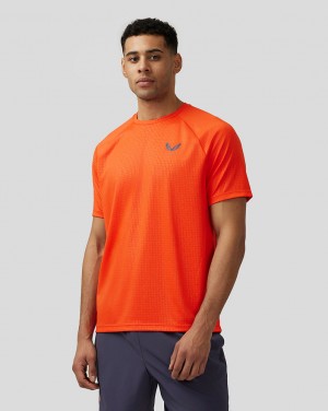 Castore Adapt Short Sleeve Printed T Shirt Orange | FJDQO7935