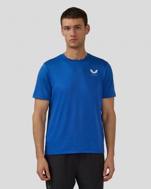 Castore Flow Short Sleeve Knit T-Shirt Royal Blue | HVIUW2786